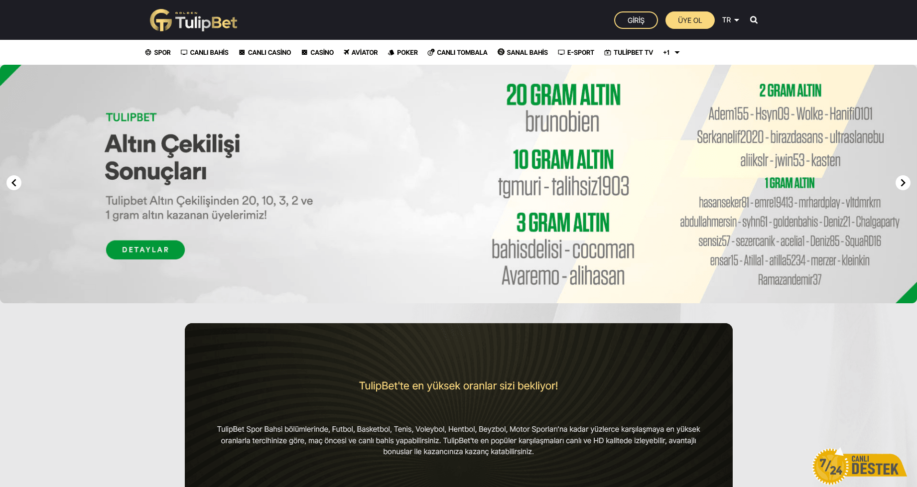 tulipbet-giris